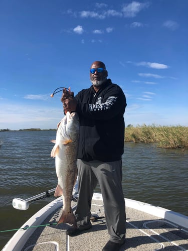 "Cajun Classic" Redfish Trip In Buras