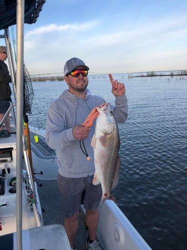 "Cajun Classic" Redfish Trip In Buras