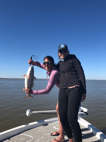 "Cajun Classic" Redfish Trip In Buras