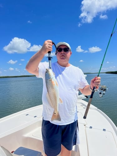 "Cajun Classic" Redfish Trip In Buras