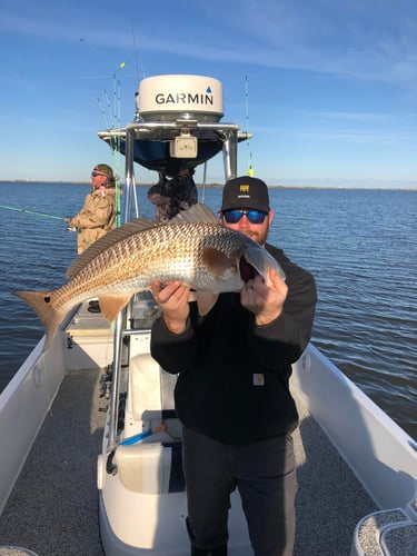 "Cajun Classic" Redfish Trip In Buras