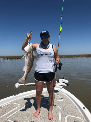 "Cajun Classic" Redfish Trip In Buras