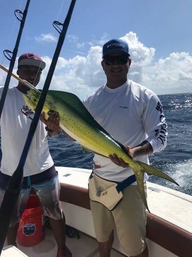 Offshore Puerto Rico In Dorado