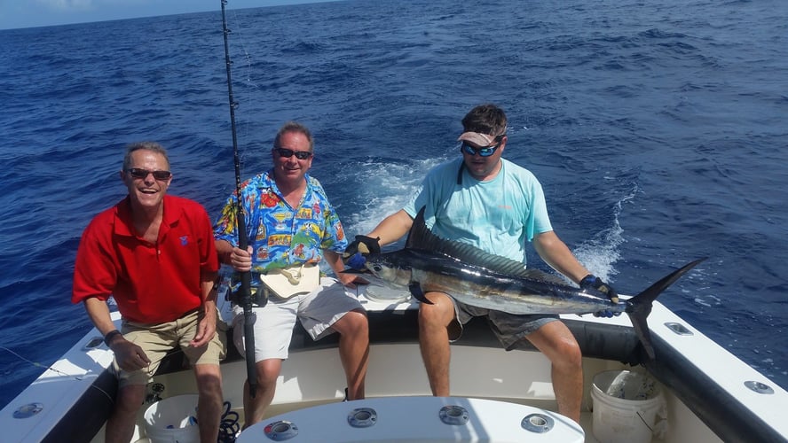 Offshore Puerto Rico in Dorado