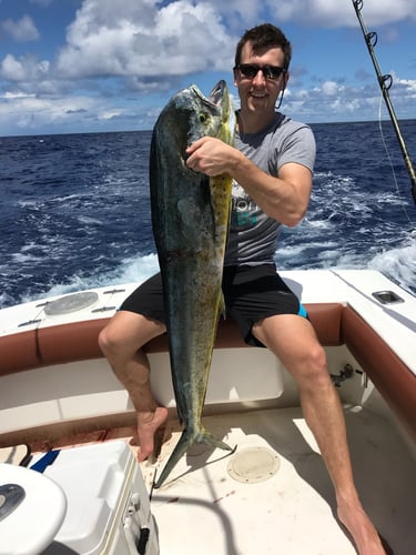Offshore Puerto Rico in Dorado