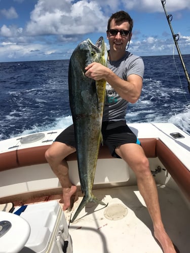 Offshore Puerto Rico In Dorado