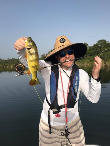 Puerto Rico Peacock Bass Slam In Vega Baja