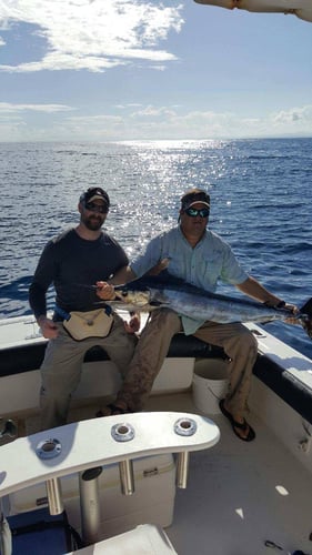 Offshore Puerto Rico in Dorado