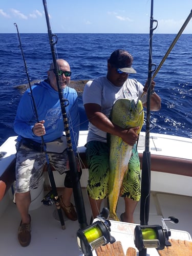 Offshore Puerto Rico In Dorado