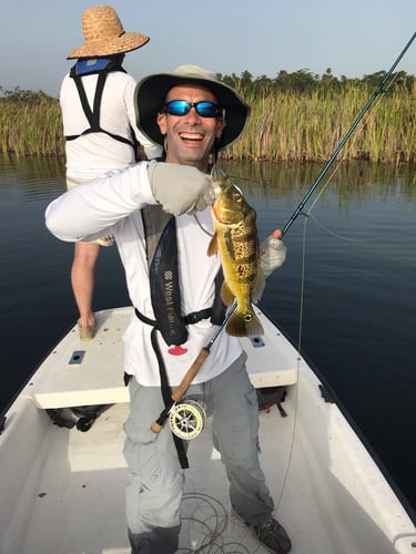 Puerto Rico Peacock Bass Slam In Vega Baja