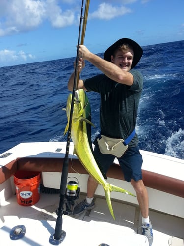 Offshore Puerto Rico in Dorado
