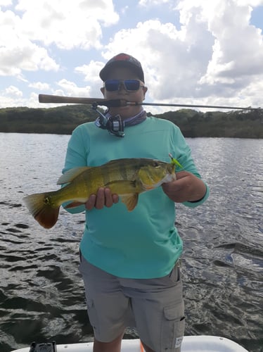 Puerto Rico Peacock Bass Slam In Vega Baja