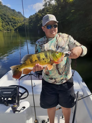 Puerto Rico Peacock Bass Slam In Vega Baja