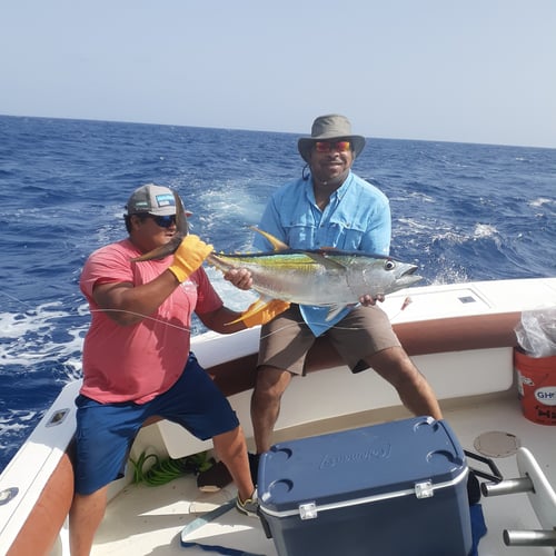 Offshore Puerto Rico In Dorado