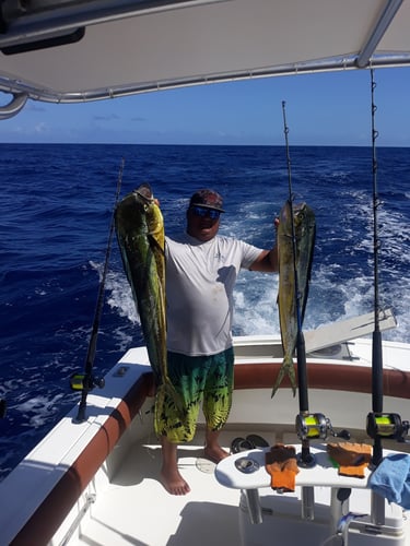 Offshore Puerto Rico In Dorado