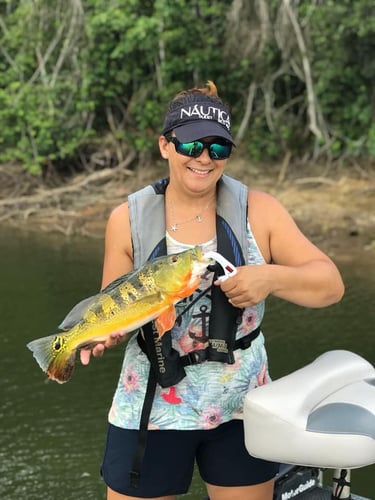 Puerto Rico Peacock Bass Slam In Vega Baja