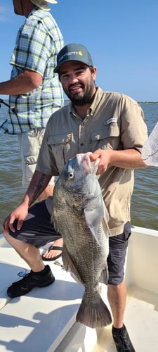 Louisiana Classic Inshore Trip In Yscloskey