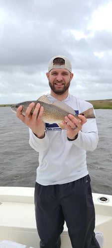 Louisiana Classic Inshore Trip In Yscloskey