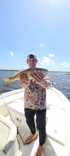 Louisiana Classic Inshore Trip In Yscloskey