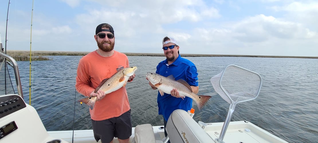 Louisiana Classic Inshore Trip In Yscloskey