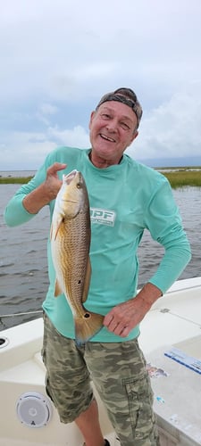 Louisiana Classic Inshore Trip In Yscloskey