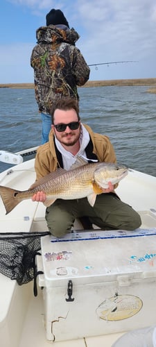 Louisiana Classic Inshore Trip In Yscloskey