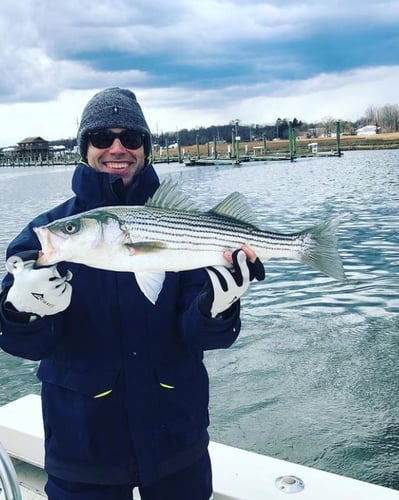 New Jersey On Light Tackle In Highlands