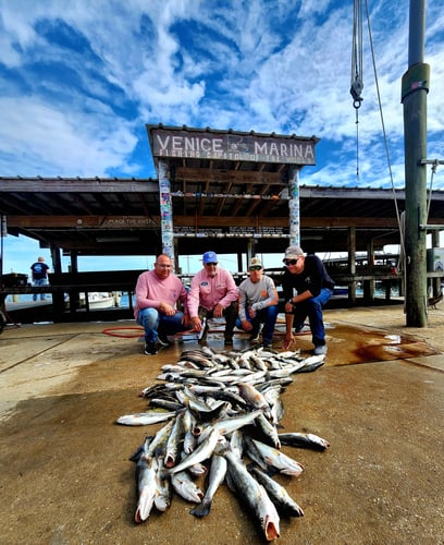 Venice Inshore Action In Boothville-Venice