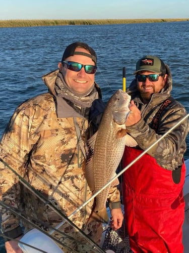 Venice Inshore Action In Boothville-Venice