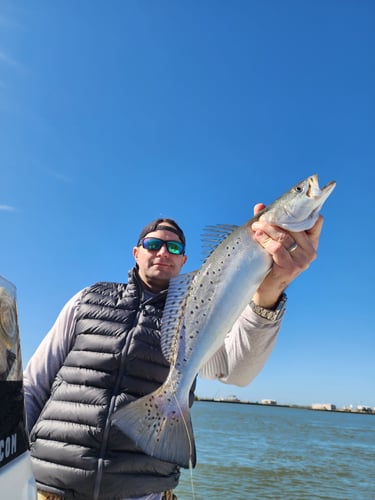 Venice Inshore Action In Boothville-Venice