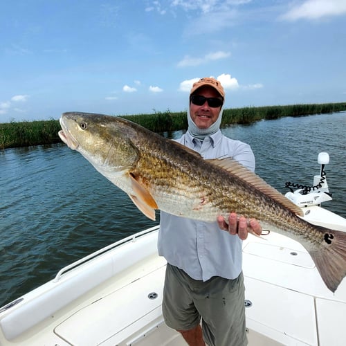 Venice Inshore Action In Boothville-Venice