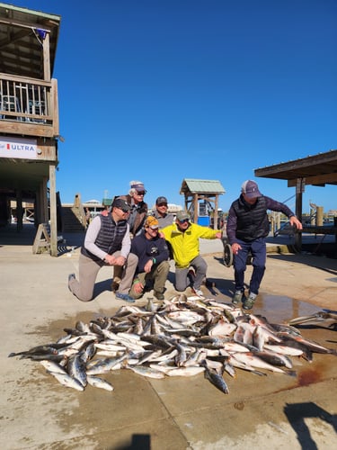 Venice Inshore Action In Boothville-Venice