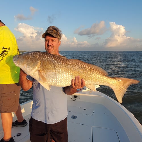 Venice Inshore Action In Boothville-Venice