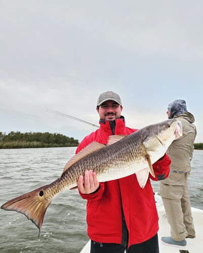 Venice Inshore Action In Boothville-Venice