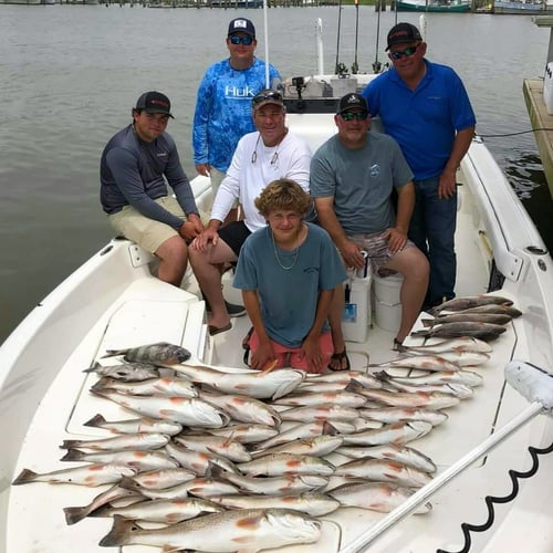 Venice Inshore Action In Boothville-Venice