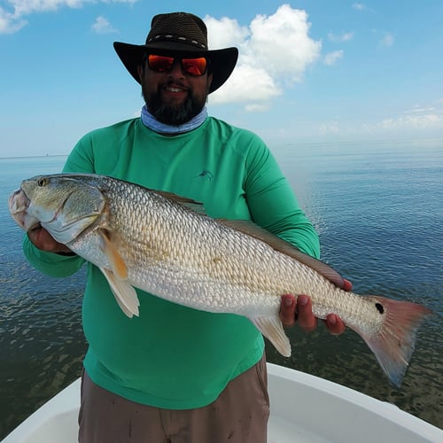 Venice Inshore Action In Boothville-Venice