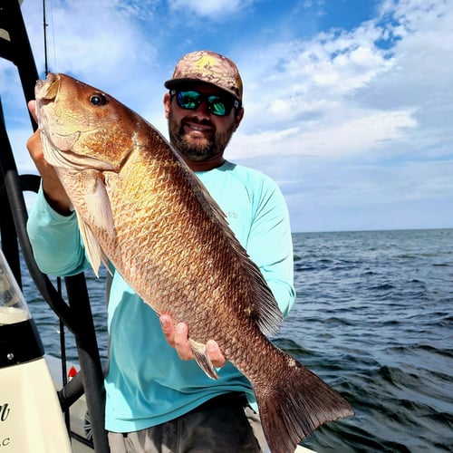 Venice Inshore Action In Boothville-Venice