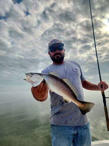 Venice Inshore Action In Boothville-Venice