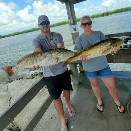 Venice Inshore Action In Boothville-Venice