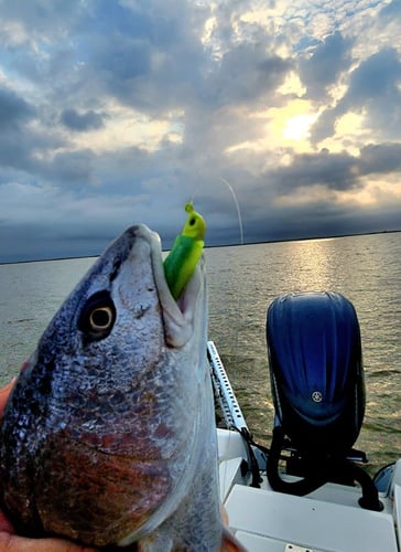 Venice Epic Inshore Fishing In Boothville-Venice