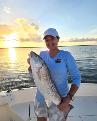 Venice Epic Inshore Fishing In Boothville-Venice