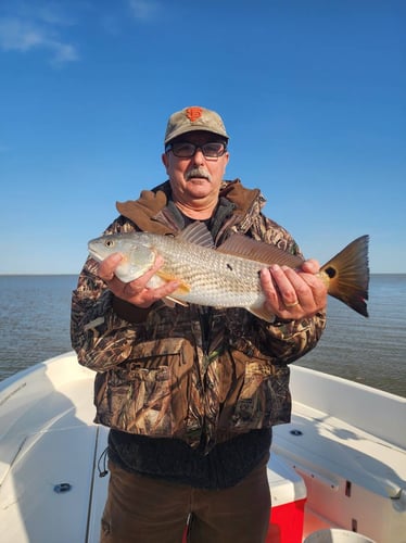 Venice Epic Inshore Fishing In Boothville-Venice