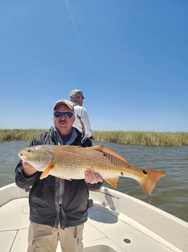 Venice Epic Inshore Fishing In Boothville-Venice