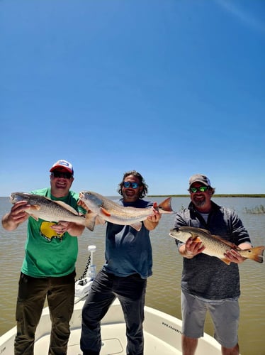 Venice Epic Inshore Fishing In Boothville-Venice