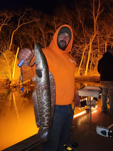 Eastern Shore River Bowfishing in Berlin