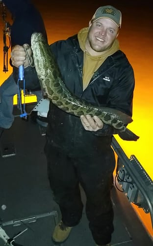 Eastern Shore River Bowfishing in Berlin