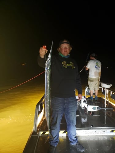 Eastern Shore River Bowfishing in Berlin