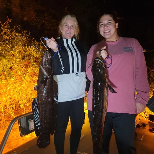 Eastern Shore River Bowfishing in Berlin