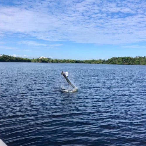 Puerto Rico Inshore Adventure In Carolina