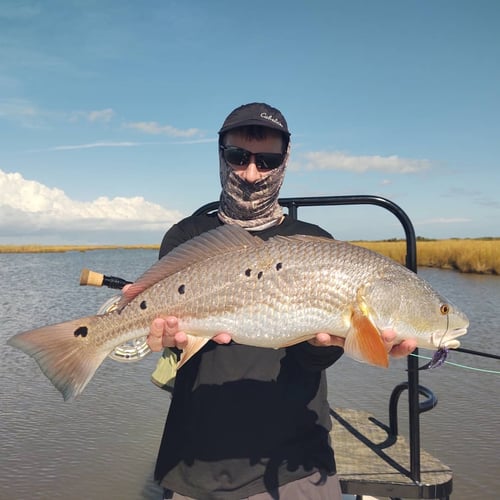 Fishing NOLA On Light Tackle In Belle Chasse